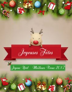 Joyeux Noel et Meilleurs Voeux 2017 de la part de Cecovam